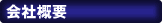 ЊTv